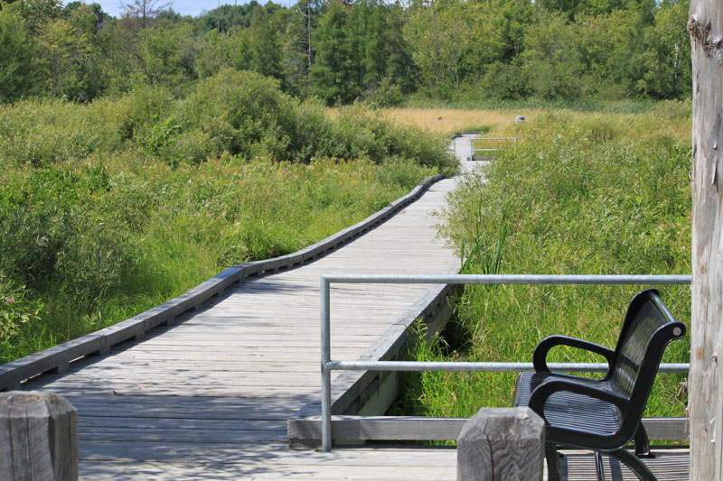 Visiting Minden Boardwalk with park bench fun things to do in Haliburton